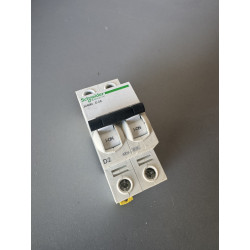 Disjoncteur bipolaire Schneider Electric iC60N D2A