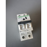 Disjoncteur bipolaire Schneider Electric Acti 9 iC60N D4A