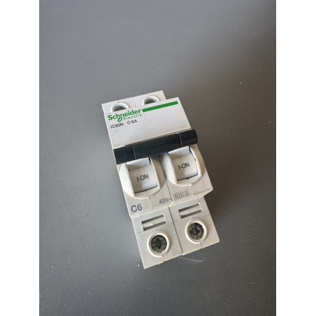 Disjoncteur bipolaire Schneider Electric Acti9 iC60N 6 A