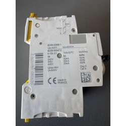 Disjoncteur modulaire bipolaire Schneider Electric iC60N A9F75202