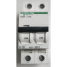 Disjoncteur modulaire bipolaire Schneider Electric iC60N 2P 10A Courbe C A9F74210