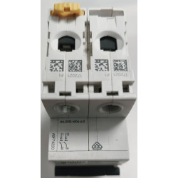 Disjoncteur modulaire bipolaire Schneider Electric iC60N 2P 20A Courbe C A9F74220