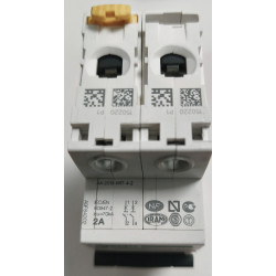 Disjoncteur modulaire bipolaire Schneider Electric iC60H 2P 2A Courbe C A9F84202