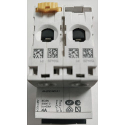 Disjoncteur modulaire bipolaire Schneider Electric iC60N 2P 4A Courbe C A9F74204