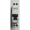 Disjoncteur modulaire Schneider Electric DT40 1P+N 6A Courbe C A9N21023