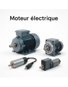 Moteur électrique